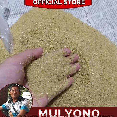 

[COD MZ71] Telur Jangkrik Alam Madu Kualitas Super Netas 99% Seller