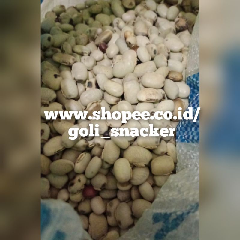 Kacang Koro Benguk Mentah Murah Kiloan 1 Kg