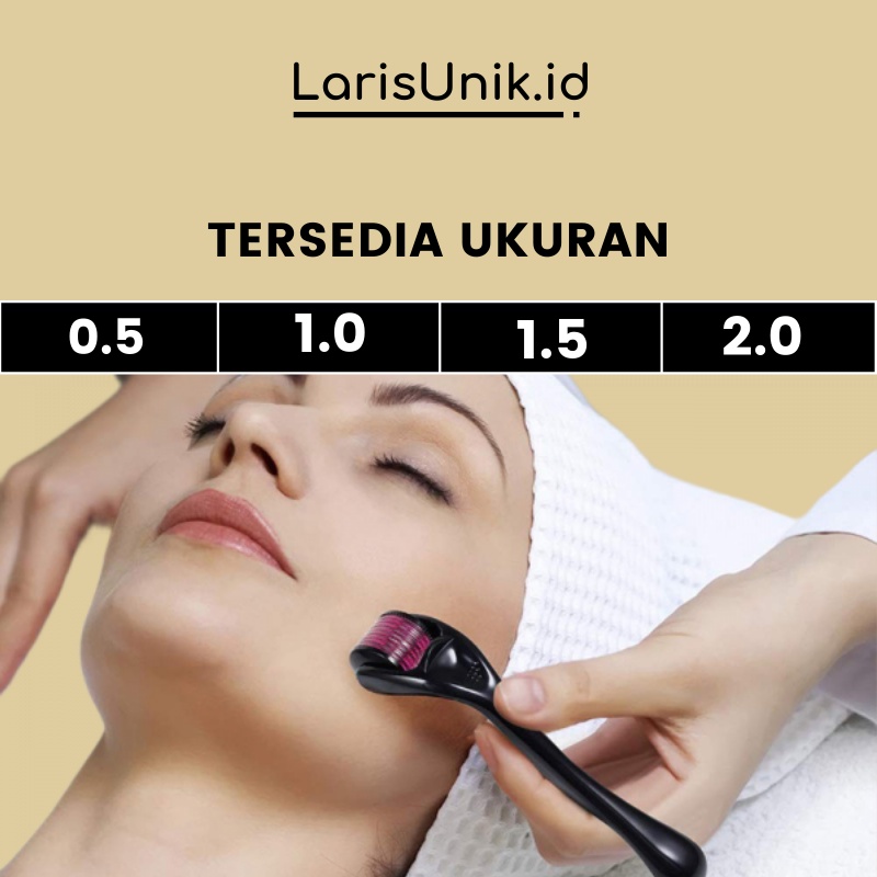 Alat Kecantikan Perawatan Kulit Wajah Dermaroller Alat Roller Facial Wajah Kecantikan Kulit