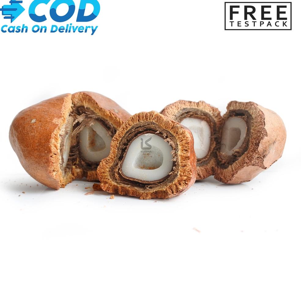 

Ready ー Zuriat Mesir Belah / Doum 1 Kg Siap Konsumsi ☪