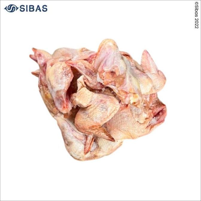 

PROMO SAYAP AYAM SEGAR / CHICKEN WINGS 1KG PREMIUM TERLARIS F5464RY