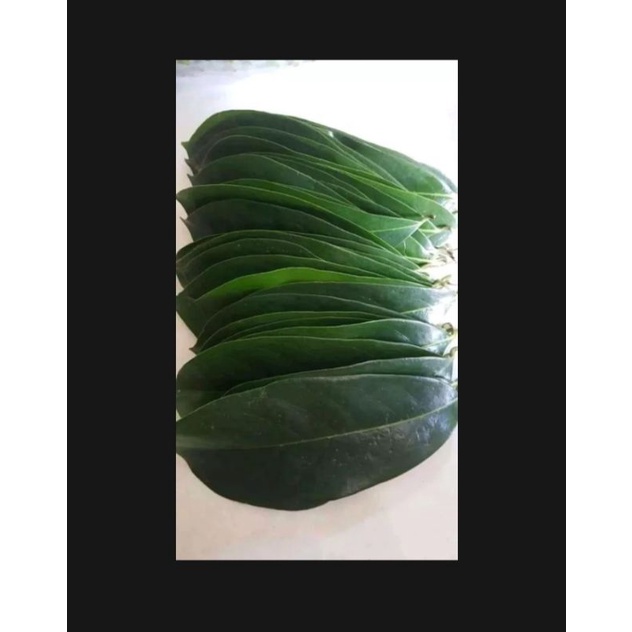 

daun sirsak