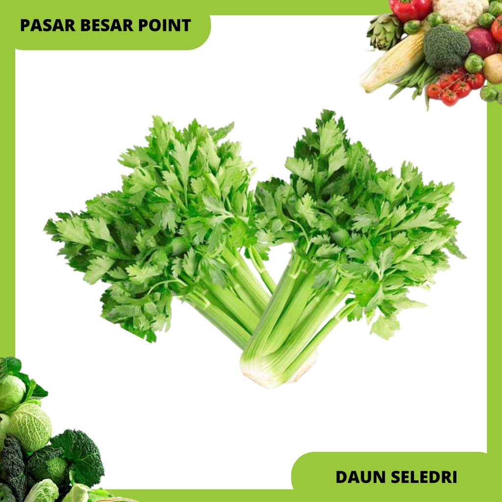 

daun seledri