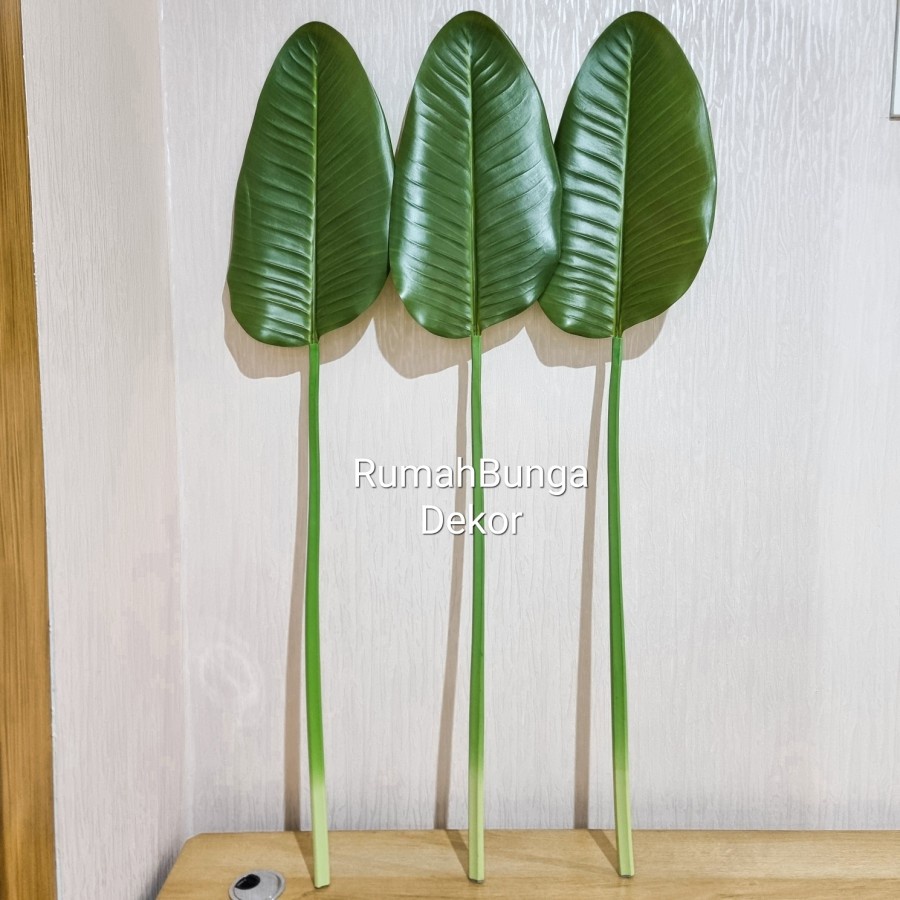 Daun Pisang Lembaran Latex Kualitas Premium