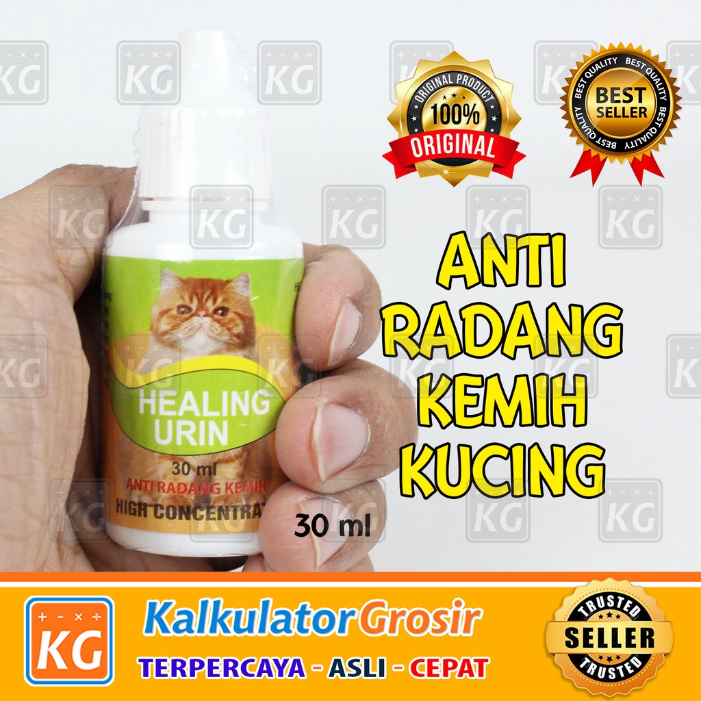 Healing Urin Obat Anti Radang Kemih Untuk Kucing 30ml Obat Susah Kencing