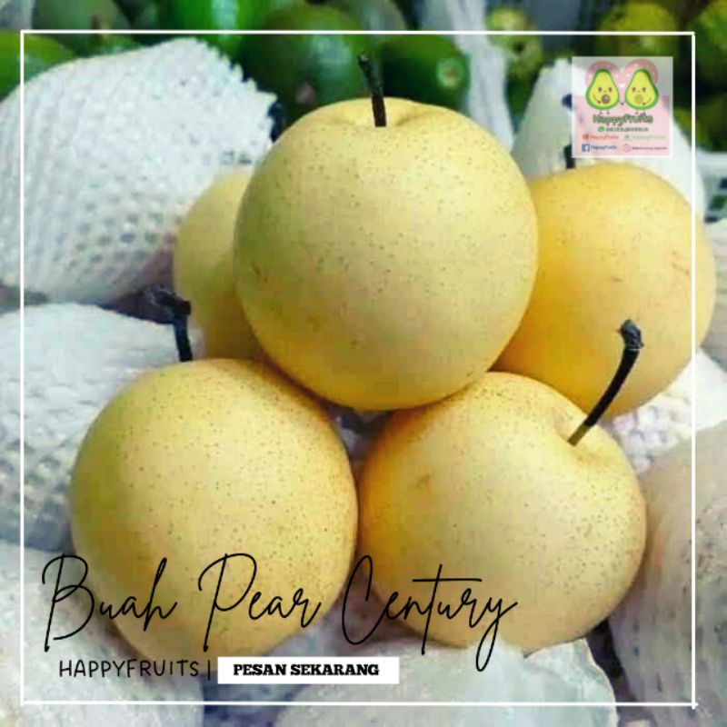 

BUAH PEAR CENTURY HAPPYFRUITS 1KG