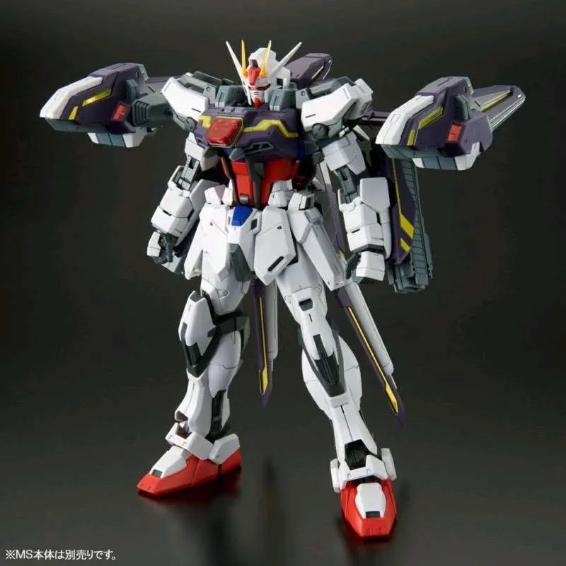 BANDAI Plamo MG 1/100 Lightning Striker For Aile Strike Gundam Ver.RM