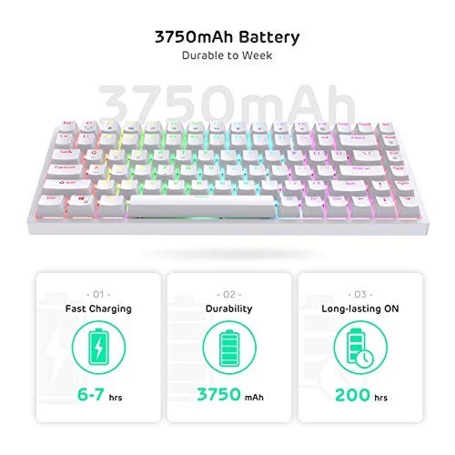 ROYAL KLUDGE RK84 RGB MECHANICAL KEYBOARD 3 MODE HOTSWAP 3 / 5 PIN