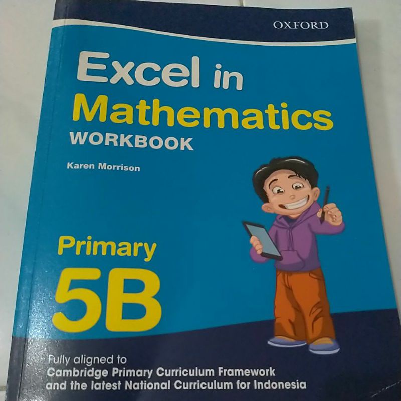 Excel in mathematics workbook 5B
