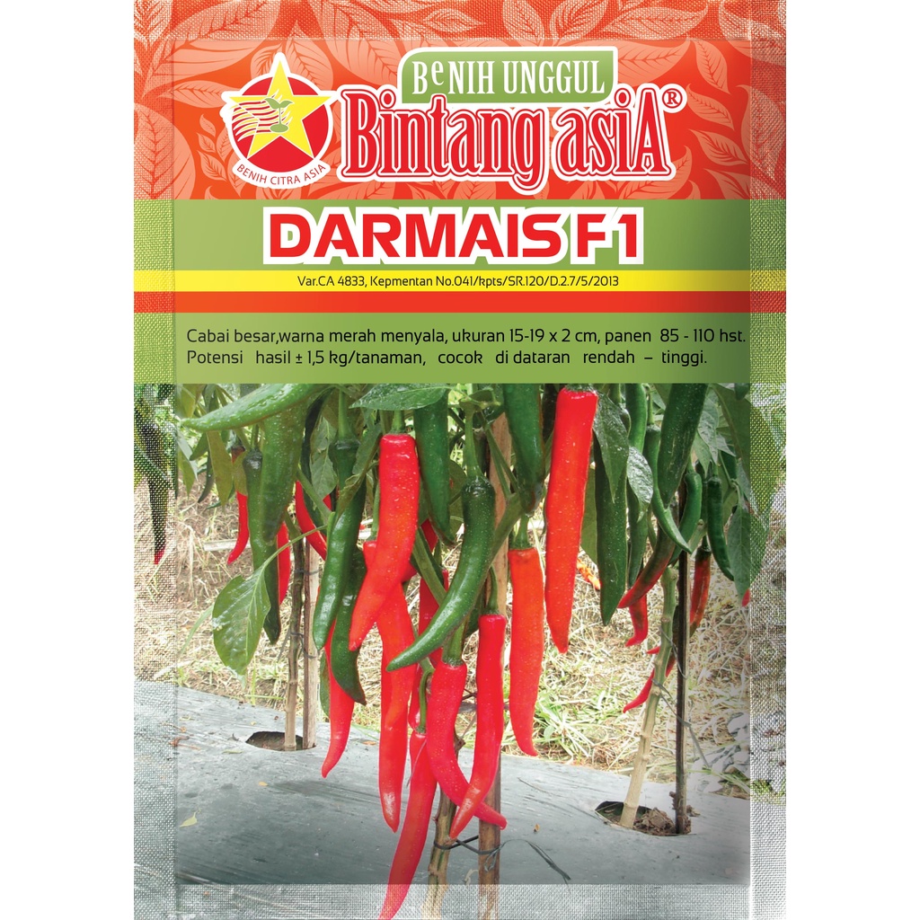 benih cabe besar DARMAIS F1 10GR
