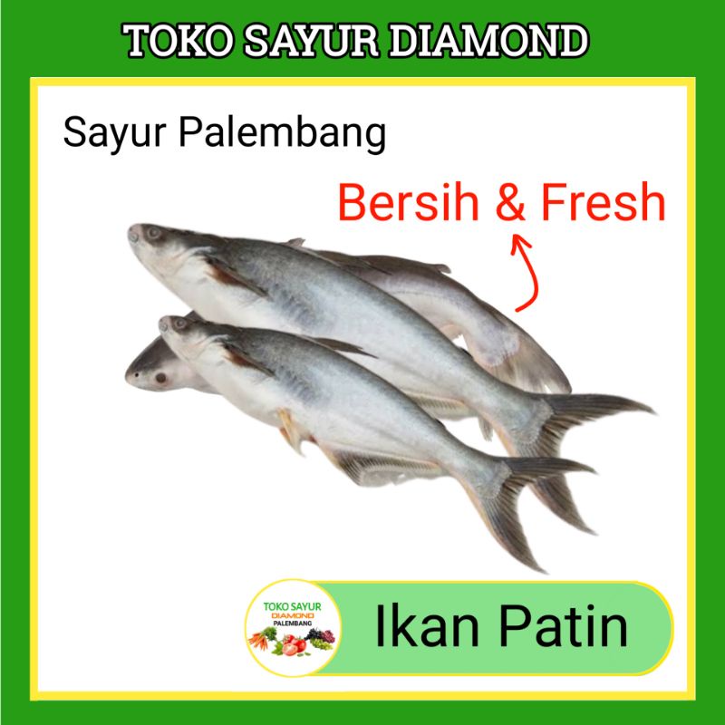 

Ikan Patin Fresh - Diamond Palembang