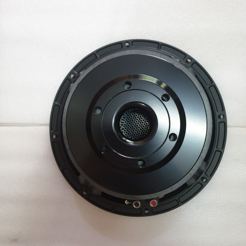 speaker 10inch Ashley 10V300