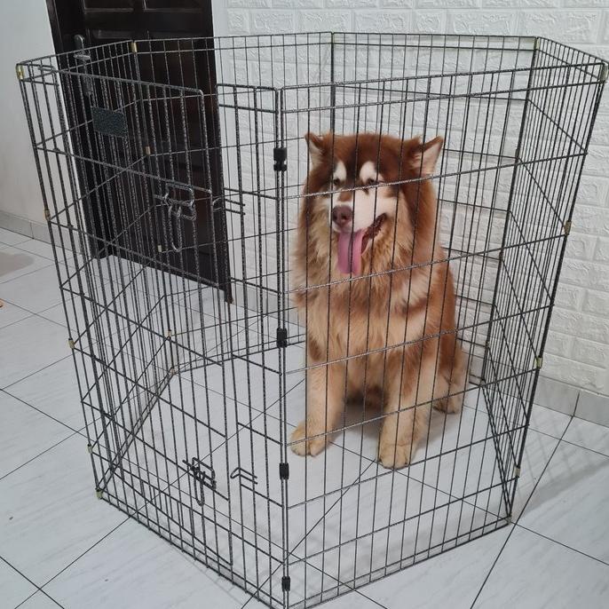 Pagar anjing sekat kucing pagar kelinci tinggi jumbo xxl ORIGINAL