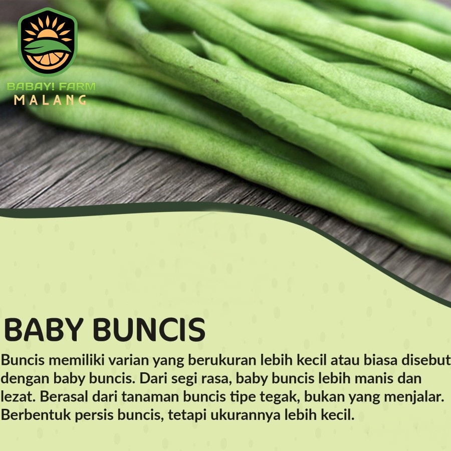 

Baby Buncis Segar 250 500 gr / 1 kg