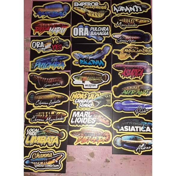

stiker channa