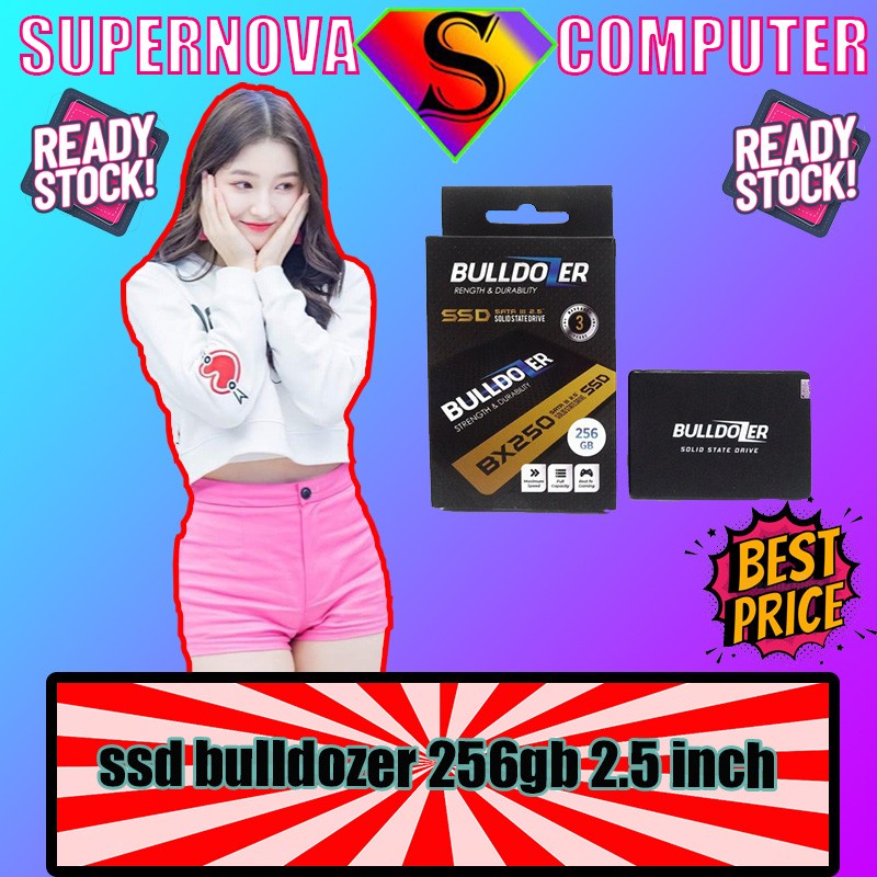 ssd bulldozer 256gb/bulldozer ssd 256GB 2.5 inch