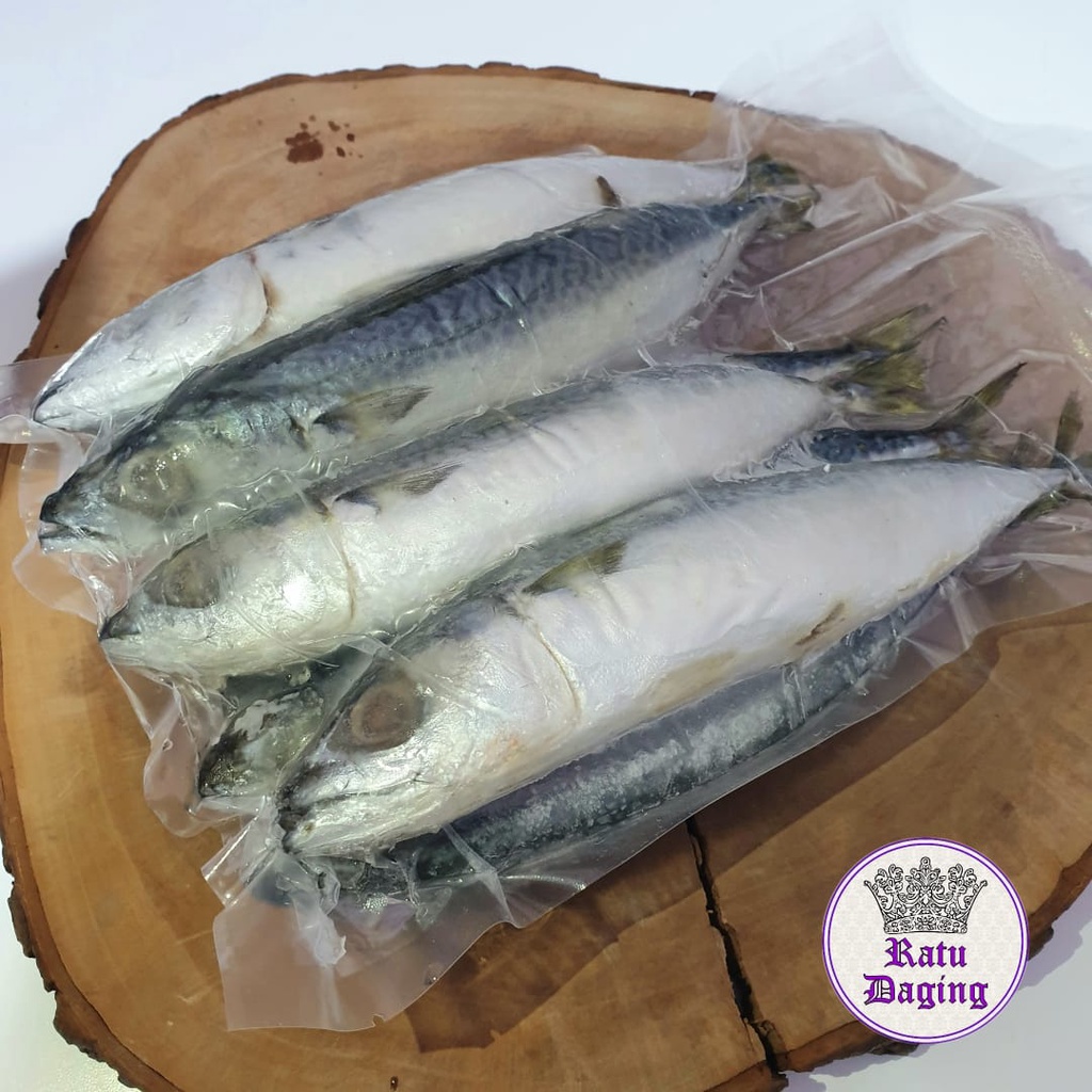 

Ikan Salem Value Pack 500gr