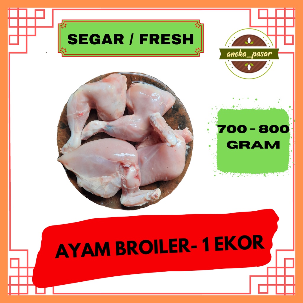 

ayam broiler potong padang fresh segar ukuran 700 - 800 gram