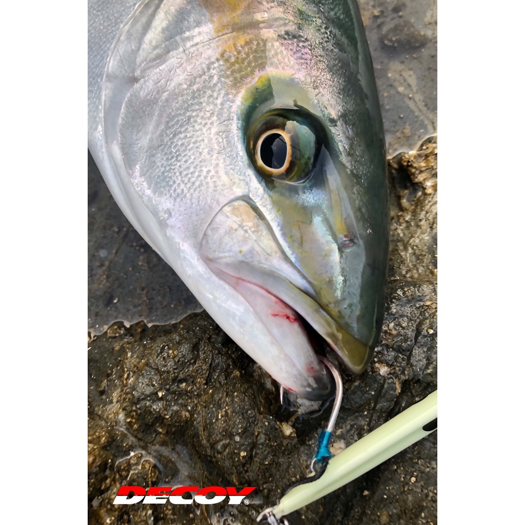 Kail Pancing Hook DECOY PIKE AS-03 | DECOY JIGGING SINGLE HOOK