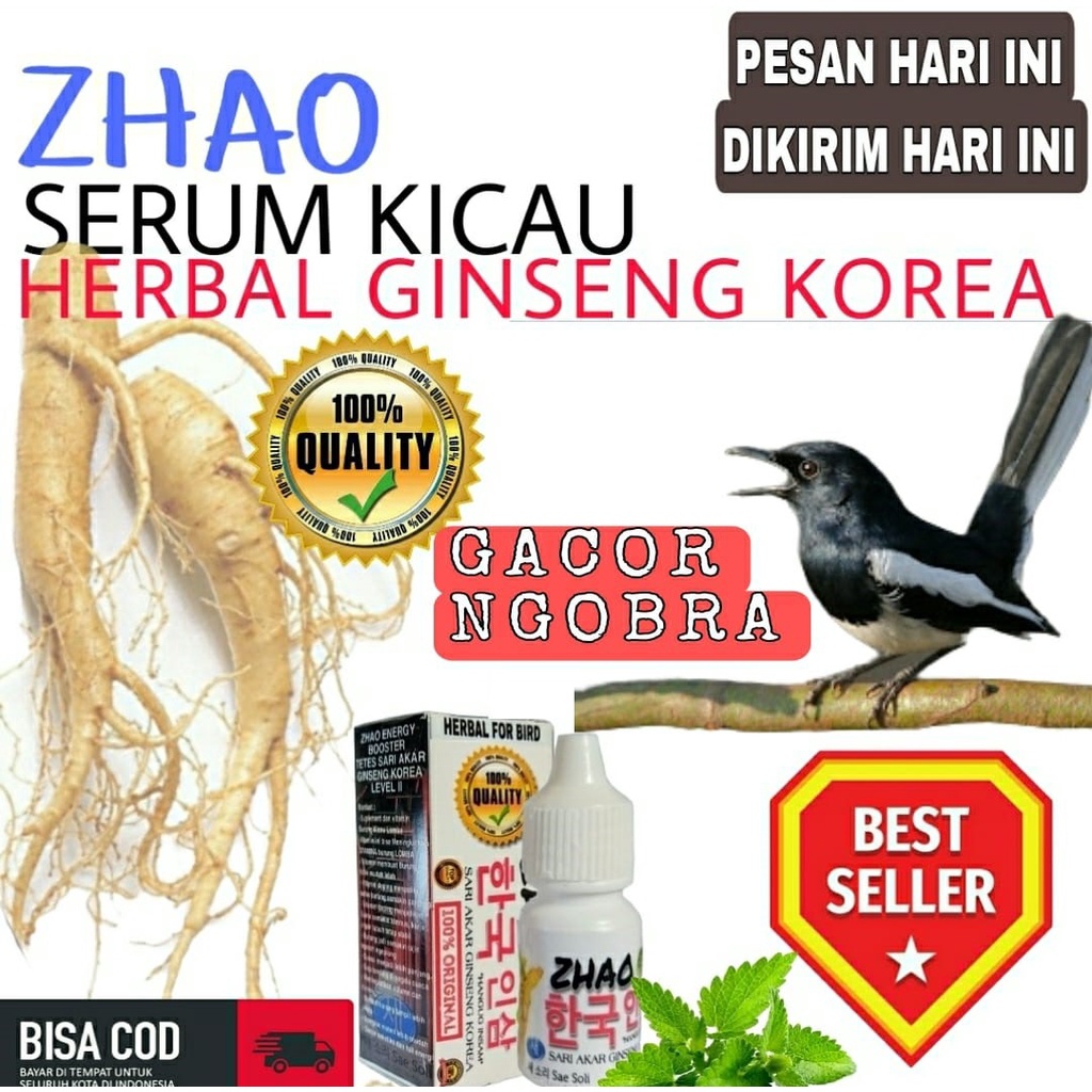 Cukup 3 Tetes Langsung Gacor Ngobra buka ekor Burung Kacer Ngobra Penggacor Seketika