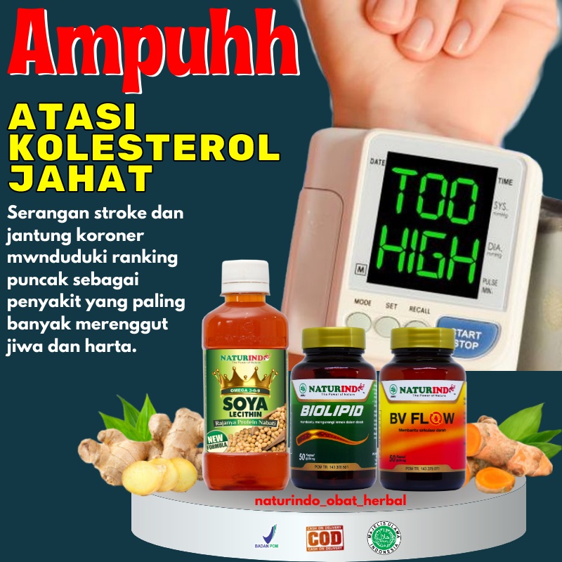 Paket Obat Penurun Kolesterol dan Asam Urat Ampuh Jamu Sehat Herbal Alami Pelancar Darah Kebas Pegal