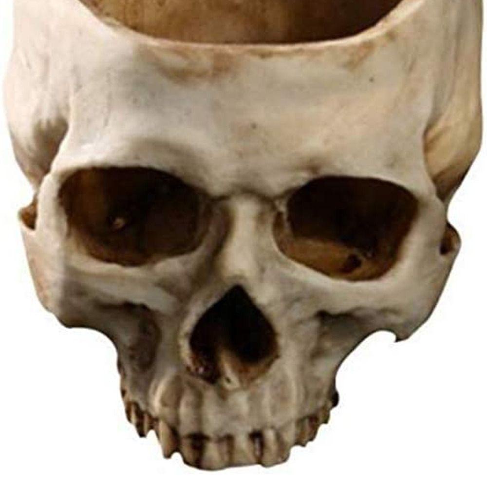 Wadah Bar Pot Bunga Tengkorak Agustinina Wadah Hiasan Meja Kantor Untuk Home Decor Sugar Skull Planter