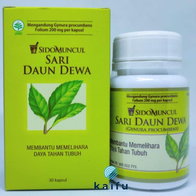 Sidomuncul Sari Daun Dewa | Gynura Procumbens Isi 30 Kapsul