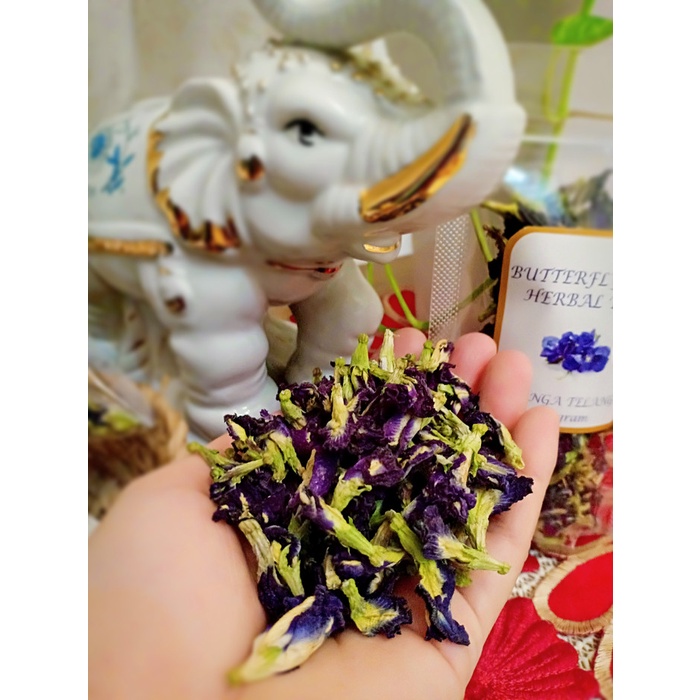 

Terlaris ✨ -bunga telang butterfly pea flower bluepea flower teh herbal. isi 20 gr- 2.1.23