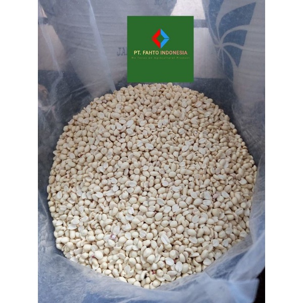 

Kacang tanah mentah kupas tanpa kulit ari 1kg blanched peanuts PRAA import China kualitas premium