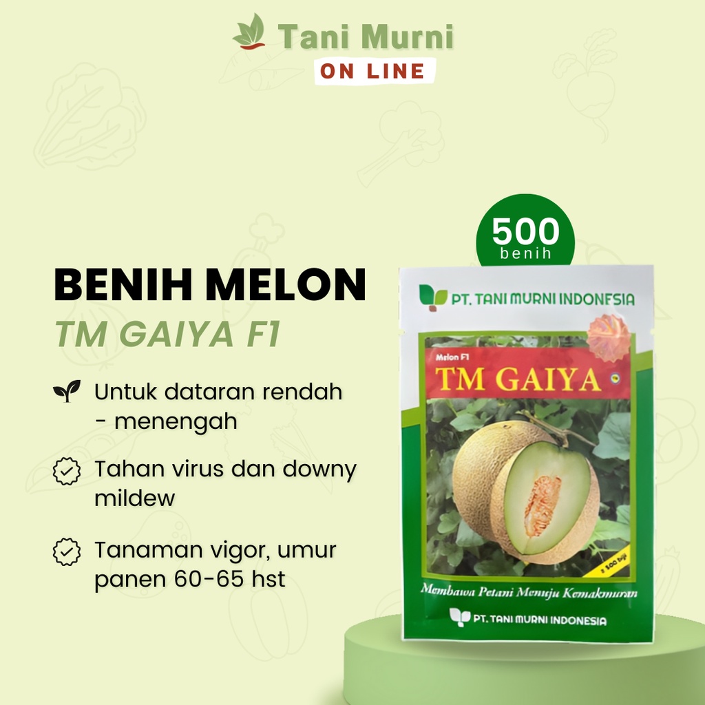 Benih Melon TM Gaiya F1 500 Biji Benih Melon Super