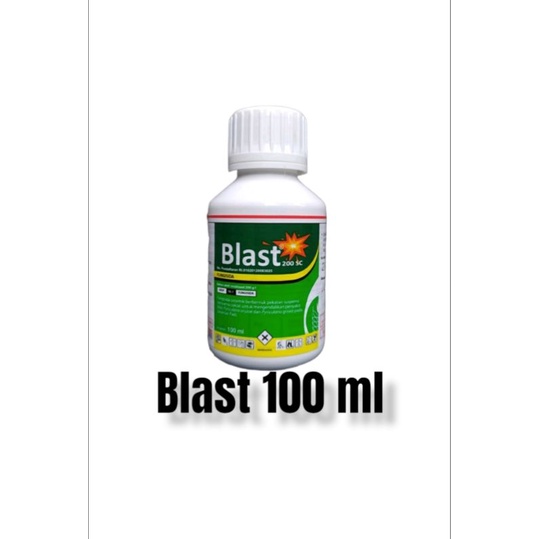 Blast 100 ml nativo fillia