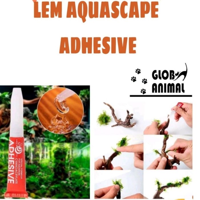 

Produk Unggulan] LEM AQUASCAPE ADHESIVE 5GR LEM TANAMAN AQUASCAPE LEM MOSS LUMUT