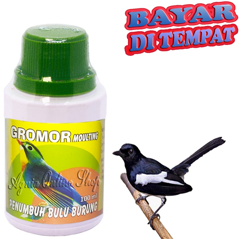Vitamin Bulu Burung GROMOR MOULTING Penumbuh Bulu Rontok
