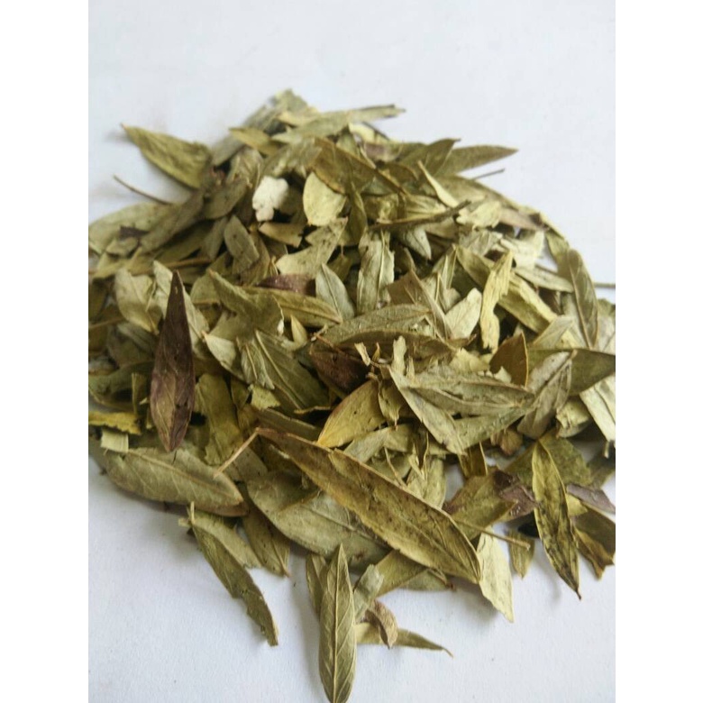 

HS Daun Jati Cina Organik / Sena Tea Selomaki Teh Pelangsing Lemak 1 Kg
