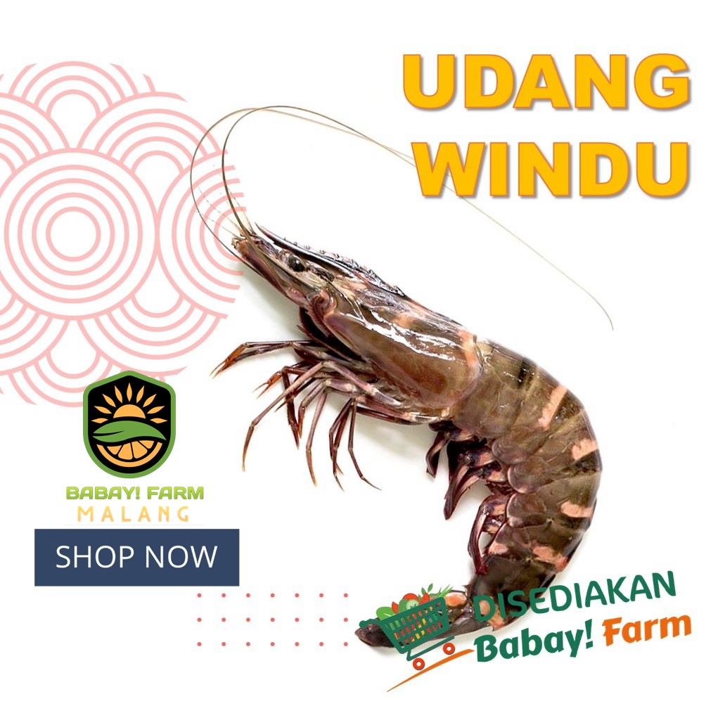 

Udang Windu 250 500 gram / 1 kg