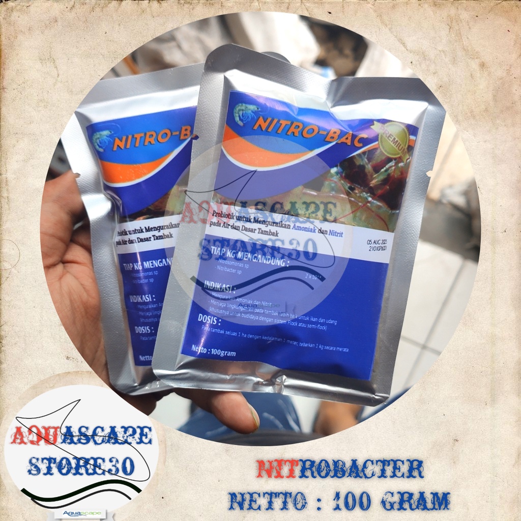probiotik nitrobacter nitrosomonas 100gr / nitrobacter / bakteri stater nitrobacter / bacteria state