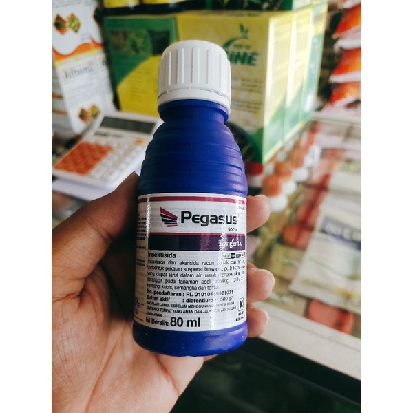 PEGASUS INSEKTISIDA DIAFENTIURON ORIGINAL 100ML