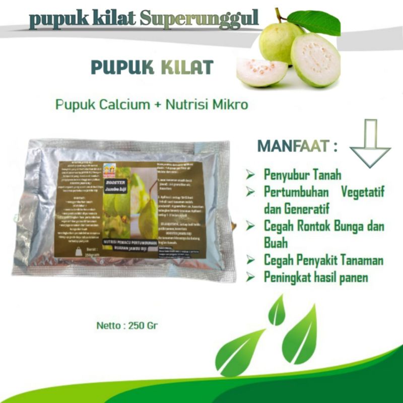 Pupuk Organik Pelebat Buah Dan Booster Jambu biji Cepat Berbuah Lebat