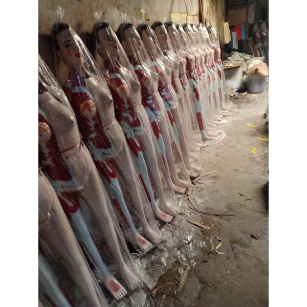 

model torso Dwi fungsi seluruh tubuh ukuran 150cm