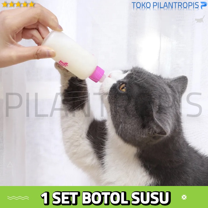 BOTOL SUSU KUCING BAYI BARU LAHIR 1 SET REFILL REFIL DOT KUCING KECIL DODOT KUCING MURAH