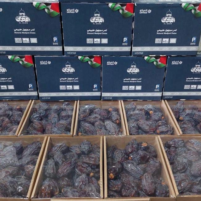 

KURMA MEDJOOL PALESTINA AL QUDS MEDJOL JUMBO DUS 1KG