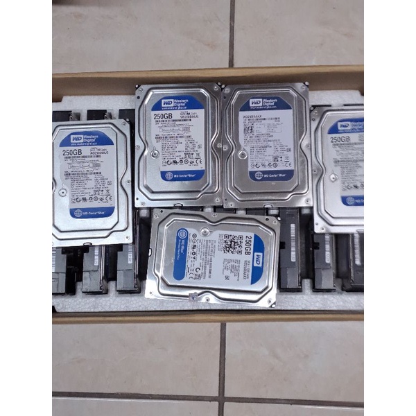 Hardisk PC WD Blue 250 GB Internal Sata 3,5 Inchi - HDD Harddisk Komputer / PS / CCTV