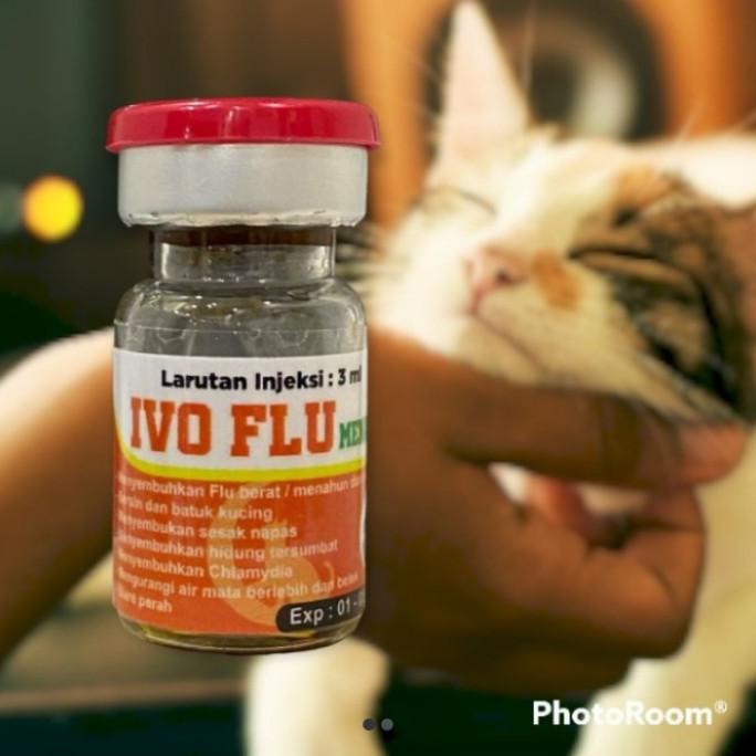 [BERGARANSI] IVO FLU OBAT SUNTIK UNTUK FLU KUCING MENAHUN/BERAT