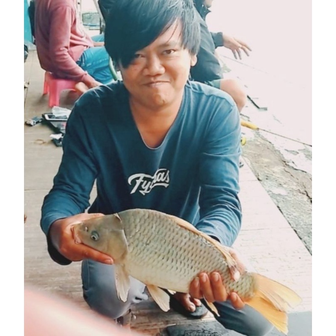 ESSEN IKAN MAS UMPAN MANCING GALAPUNG PANCING GALATAMA JEDUD PANCING