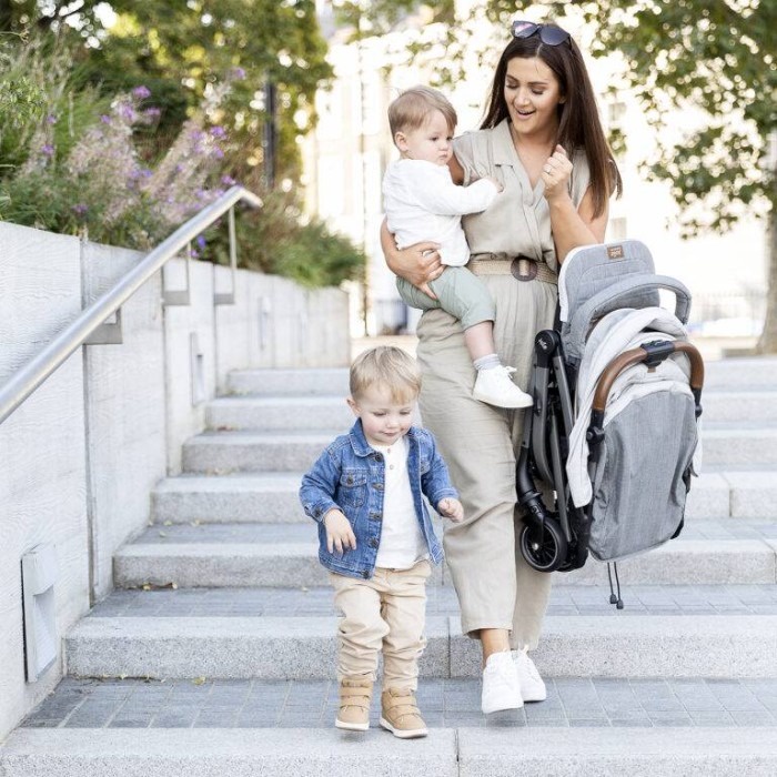 Joie Stroller - Tourist Signature Collection OYSTER