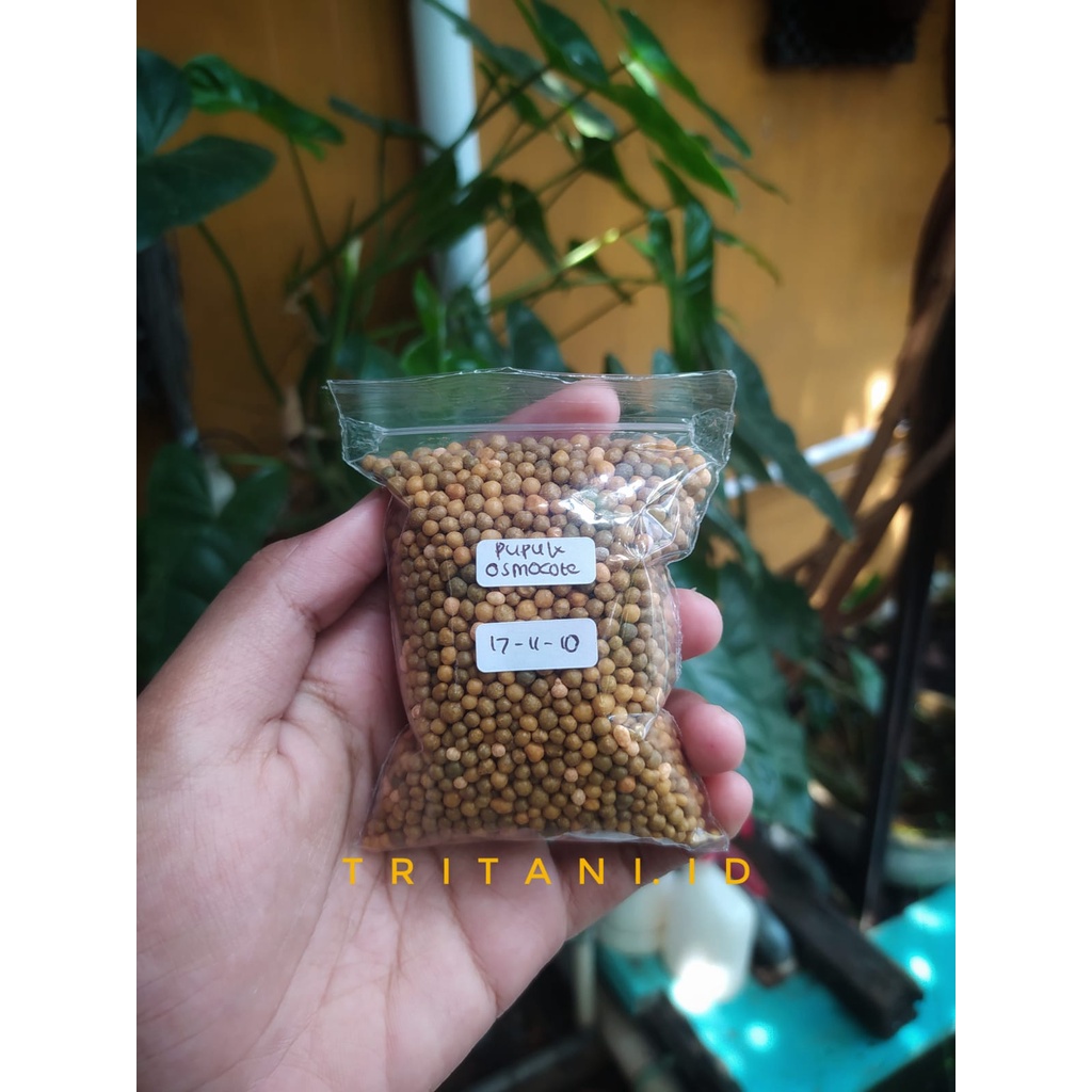 PUPUK BONSAI Dekastar Plus atau osmocote 100 GRAM