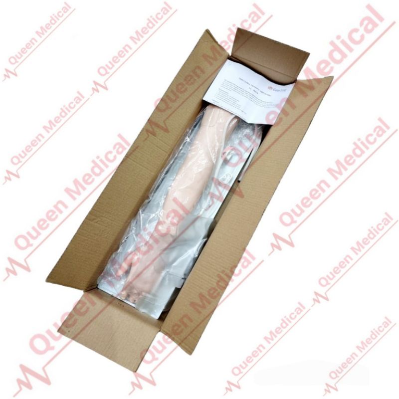 Manekin Lengan Infus/Manekin Phantom Alat Peraga GL 8434A Guan Long