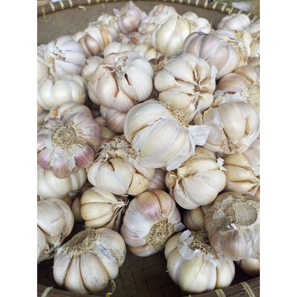 

bawang putih 1kg