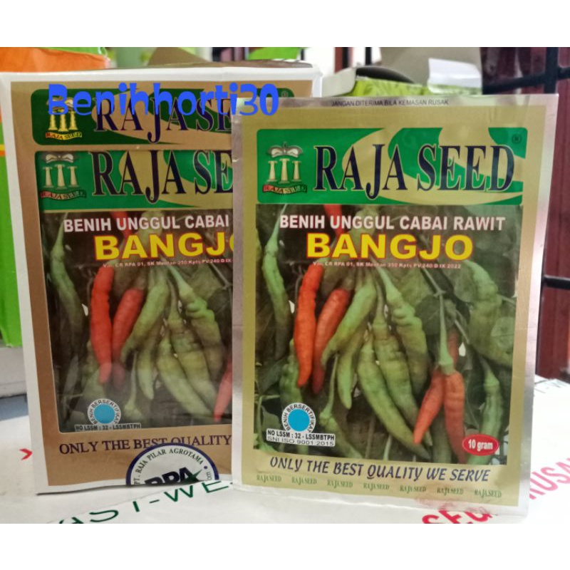 Benih Cabe Rawit Bangjo isi 10 gram