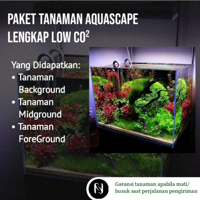 Paket Tanaman Aquascape Lengkap Low Co²